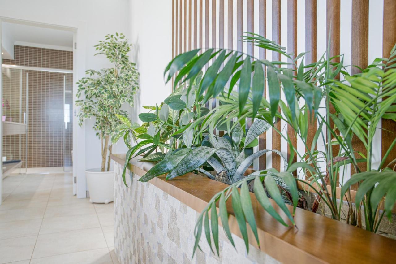 Conil Villa Santana المظهر الخارجي الصورة